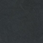 Tribe Black
